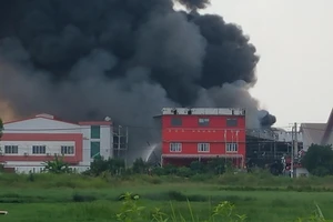 Cháy lớn một xưởng rộng hơn 1000m2 trong khu công nghiệp ở Long An
