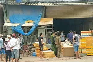 Long An: Thu giữ trên 1 tấn chó nghi bắt trộm