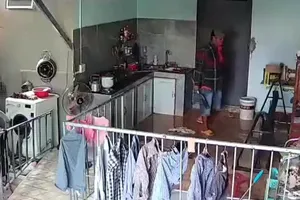 Nhóm côn đồ kéo đến đập phá tài sản nhà cụ bà 83 tuổi ở Long An 