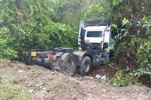 Xe container chui vào rừng tràm, quốc lộ 62 ùn ứ kéo dài