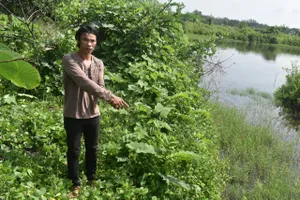 Trộm vỏ lãi đi hơn một năm rưỡi thì bị bắt