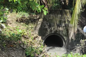 Một công ty ở Long An bị phạt 30 triệu đồng vì xả nước thải ra môi trường