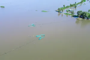 Lũ nhỏ, mưu sinh mùa lũ ở Long An thất thu 