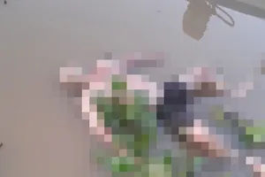 Long An phát hiện thi thể nổi dưới kênh cạnh cây xăng