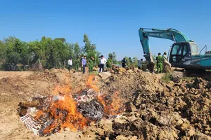 Long An: Tiêu hủy hơn 50.000 bao thuốc lá lậu 