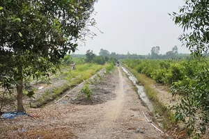 Công an xuyên đêm lần theo dấu vết kẻ giết người, cướp của ở huyện Hóc Môn