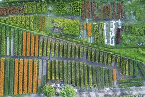 Trên 922 tỉ đồng để chống chịu khí hậu và chuyển đổi tổng hợp ở Đồng Tháp