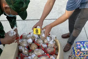 Dùng ô tô vận chuyển 279 kg pháo lậu thì bị bắt