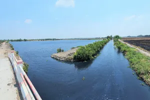 Hàng trăm hộ dân “ kêu cứu” vì những dòng kênh đen