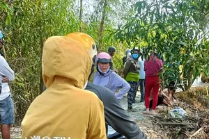 Long An: Nghi mâu thuẫn tình cảm, em chồng sát hại chị dâu 