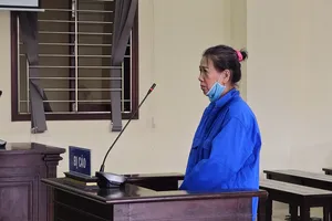 Hoạt động chống phá Nhà nước, người phụ nữ lãnh 12 năm tù