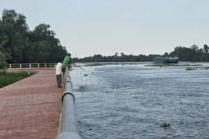 Phát hiện thi thể 1 người đàn ông nổi trên sông Vàm Cỏ Tây