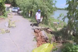 Long An: Lại sạt lở đê bao ven sông Vàm Cỏ Tây