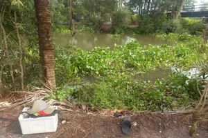 Quăng cần câu vướng dây điện, người đàn ông bị điện giật tử vong