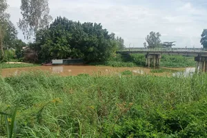 Long An: Bé trai 3 tuổi rơi xuống kênh đuối nước thương tâm