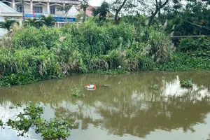 Cá sấu nổi trên sông ở Long An tiếp tục xuất hiện khu vực lân cận