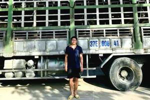 Long An: Bắt giữ nam thanh niên vận chuyển 43 con trâu nhập lậu