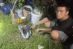 Học trên mạng rồi mua nguyên liệu về chế tạo pháo đem bán