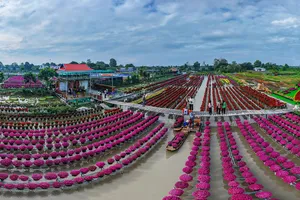 Hàng ngàn du khách đổ về làng hoa Sa Đéc chụp ảnh, mua hoa Tết 