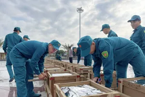 7 điểm bắn pháo hoa ở Long An đã sẳn sàng cho đêm giao thừa