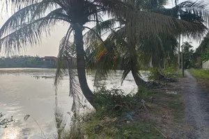 Long An: Tìm thấy thi thể bé gái 5 tuổi ở ao cá gần nhà