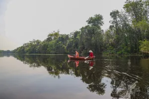 Về Tiền Giang ngắm khung cảnh tuyệt đẹp ở khu bảo tồn Đồng Tháp Mười