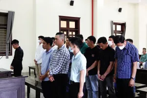 Làm giả con dấu, tài liệu 18 bị cáo lãnh án tù