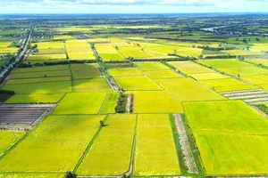 Người dân Long An được xây dựng công trình trên đất nông nghiệp từ 15-4