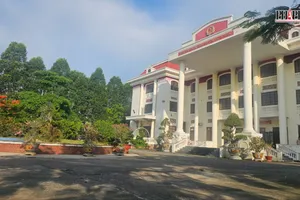 Bị cáo Lê Tùng Vân bị tuyên phạt 5 năm tù tội loạn luân