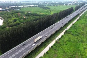 Mối nguy hiểm rình rập từ hàng cây ven cao tốc TP.HCM – Trung Lương