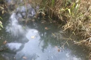 Phạt 155 triệu đồng công ty xả thải ra môi trường ở Long An