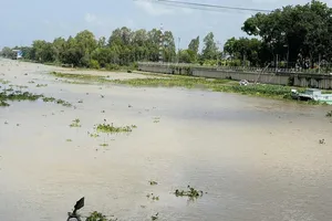 Lũ đầu nguồn đổ về nhanh ở Tây Ninh, mỗi ngày nước dâng 5 cm, 