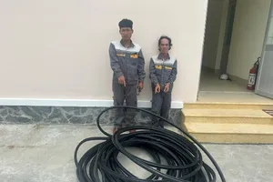 Giả danh nhân viên công ty để trộm cáp viễn thông