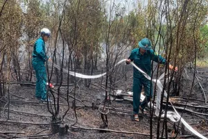 Ngăn vụ cháy rừng từ biên giới Campuchia lan sang Việt Nam