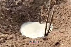 Tây Ninh: Bom sót lại phát nổ, 25 cây sầu riêng bị phá hủy