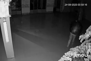 Camera ghi cảnh trộm chuông chùa khiến dư luận bức xúc