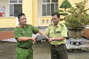 Công an xã phát hiện rùa Răng quý hiếm nặng 10kg trong đêm tuần tra