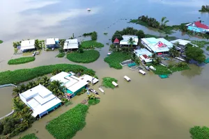 Lũ lớn, hơn 800 ha lúa và cây trái vùng Đồng Tháp Mười mất trắng