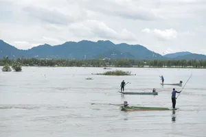 Người dân An Giang đổ xô đi bắt cá linh ở Cống Tha La