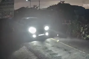 Camera ghi cảnh trộm đi ô tô 7 chỗ bắn chích điện bắt chó ở Tây Ninh