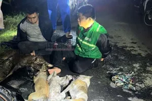 Tây Ninh: Hai kẻ trộm chó bị tóm gọn cùng súng điện và 5 con chó