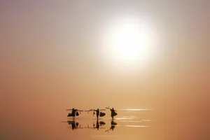 Ngắm biển vô cực đẹp huyền ảo ở Thái Bình