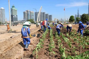 TP Thủ Đức tổ chức nhiều hoạt động chào đón năm mới 2024 