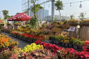 Đã mắt với chợ hoa Tết ở công viên bờ sông Sài Gòn
