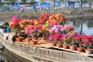 Tổ chức giao thông phục vụ chợ hoa Xuân “Trên bến dưới thuyền” Tết Giáp thìn 