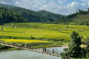 Khám phá Măng Đen - Lá phổi xanh của núi rừng Tây Nguyên