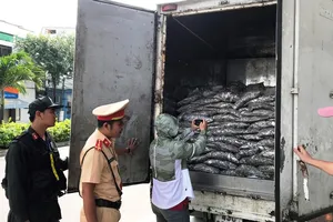 Bắt xe chở cá phế phẩm bốc mùi thối nồng nặc ở Đà Nẵng