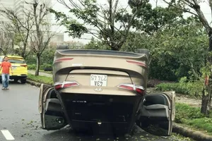 Ô tô húc gãy cây rồi 'phơi bụng', tài xế đạp cửa thoát thân