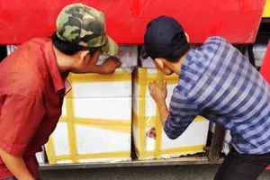 Xe khách chở thịt bò trái phép giao cho resort 5 sao