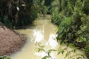 Đề xuất phạt 2 công ty xả nước thải có mùi thuốc trừ sâu